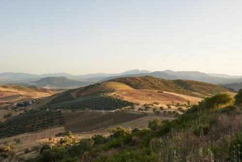 Finca Sábila Finca Sábila