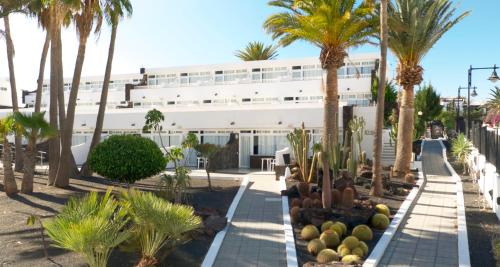 Apartamentos Arena Dorada - 전망