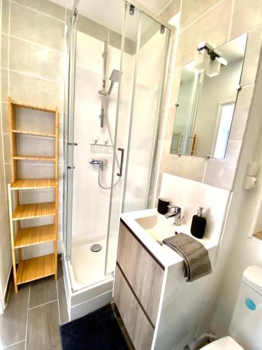 6- Appartement de 2 pieces refait a neuf en centre ville