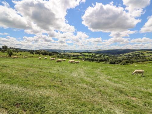 Meadow View Rhayader - image 8
