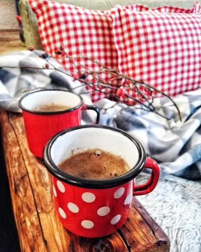 Sunny Hill kuća za odmor na Zlataru - image 11