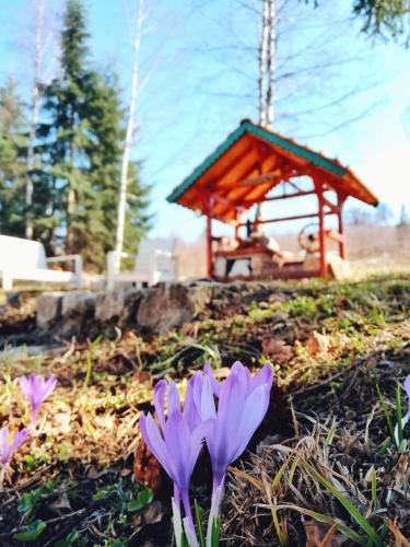 Sunny Hill kuća za odmor na Zlataru - image 3