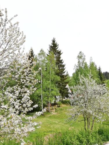 Sunny Hill kuća za odmor na Zlataru - image 7