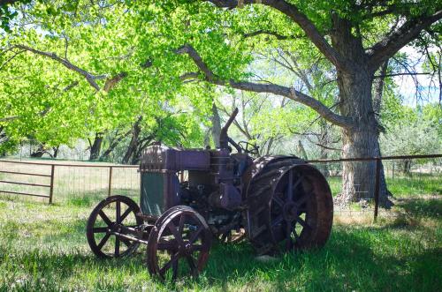 Rustic Hideaway – Cortez, CO