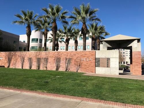 'PERFECT Apt near UCLA' POOL & GYM OPEN w Parking B3