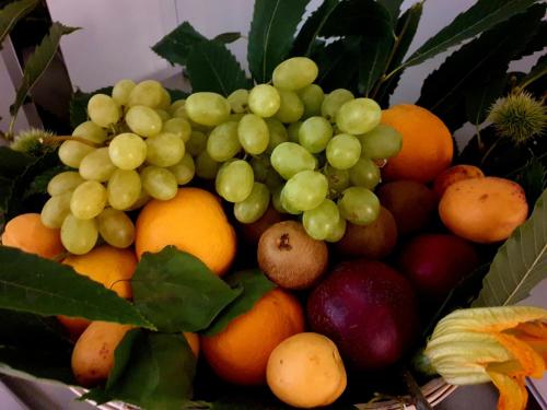 Casa Dominova de Luxe - image 9