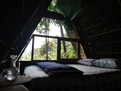 Jungle Roots Glamping in Tena