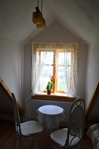 Dom Gościnny Szpilkowo - image 6