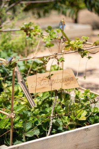 Can Arabí - image 10