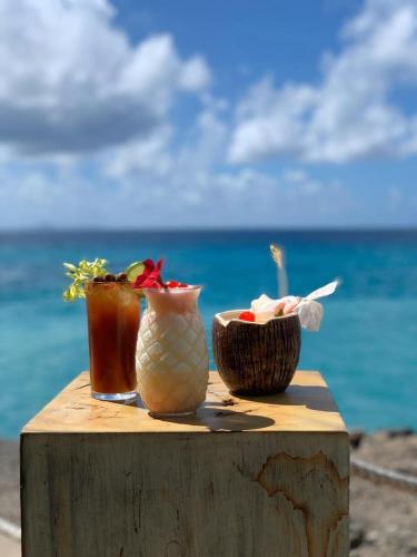 263191231 The Liming Bequia