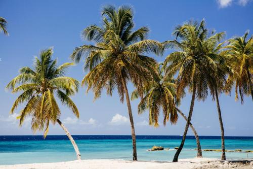The Liming Bequia