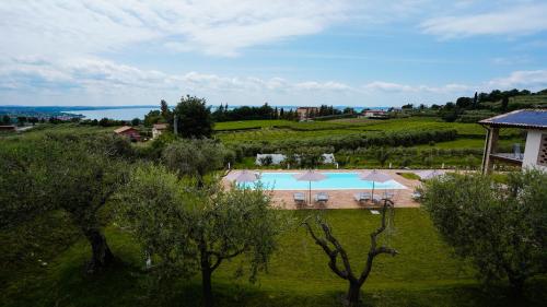 Casa Olivi Apartments 5