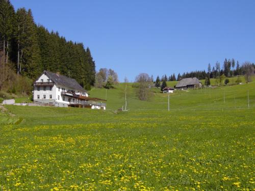 Gasthaus Pension Donishäusle