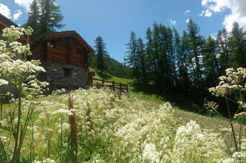  baita ancienne bergerie, Pension in Valtournenche