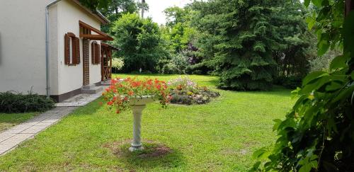 . Villa Jare I