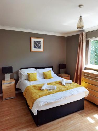 Lovely Bungalow available for guests and contractors Parking wifi - image 7
