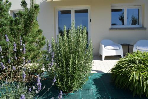景觀, Les sapins verts -inspiration deluxe in 聖洛