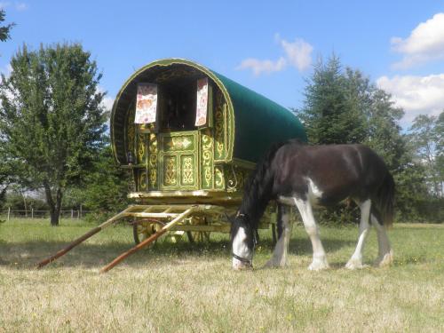 Les Irlandaises du Petit Marsin gîte à louer La Trillonnière