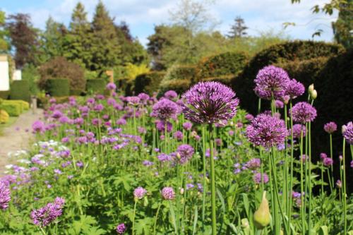 Rufflets St Andrews - image 11