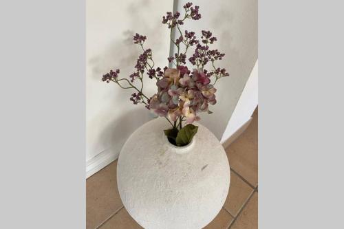 Balsam fur die Seele