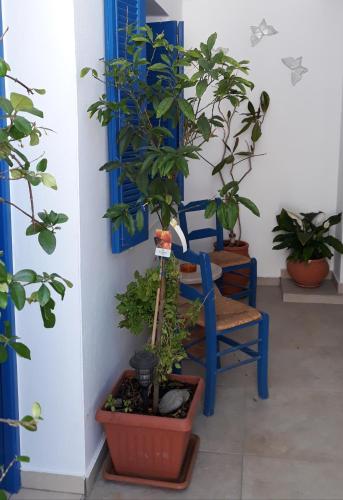 Christos Rooms