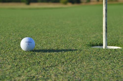 Cottages du Golf Fleuray-Amboise