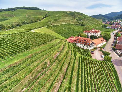 Schloss Neuweier - image 4