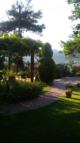 Villa Dimitra