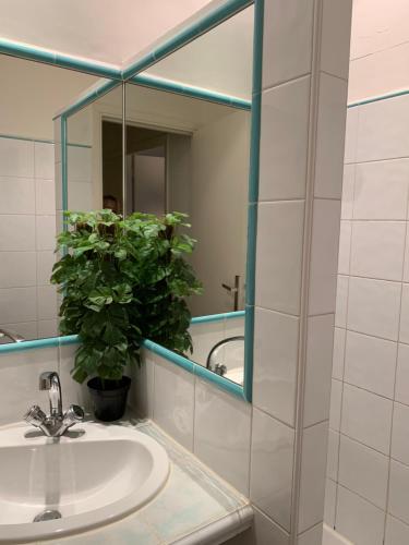 Bathroom, Apartment Limas in Avignon