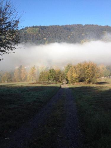 Waldnest Odenwald 5
