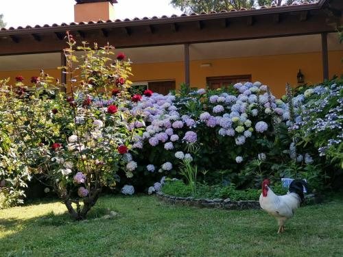 Hotel Rural El Retiro de San Pedro - image 12