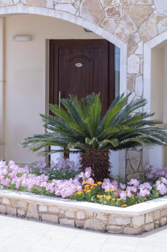 Sandy Suites 4