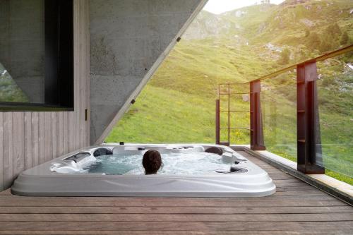 Bergman Mountain Hotel - image 2