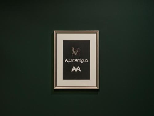 Apartantiguo Altamirano 13 - image 4