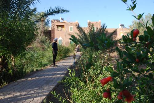 Paradise in the desert of Morocco