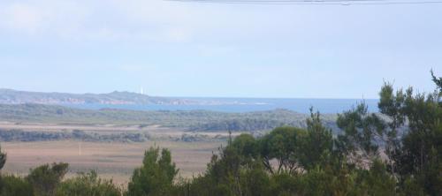 Harbour Lookout