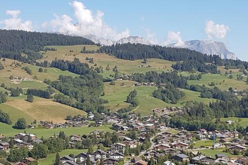 Cozy 2-bedroom with terrace overlooking the valley of Megeve Welkeys
