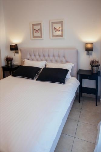 Leto Nuevo Hotel - image 5