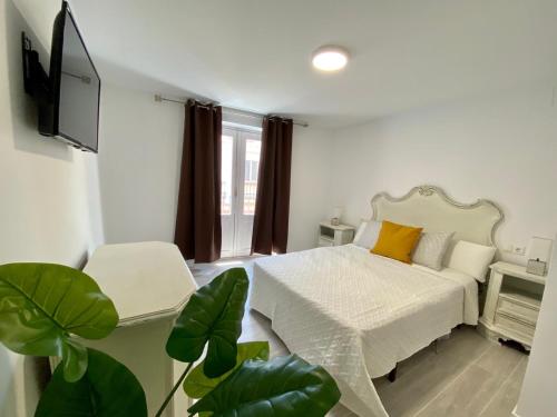  Cave Rooms in Alicante