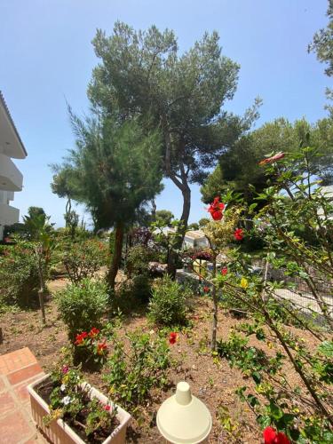 Apartment with sea view in Marbella