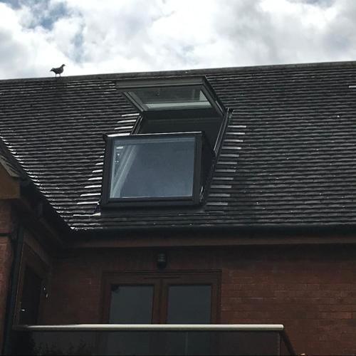 The spinney home stay The spinney home stay