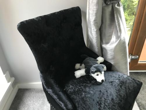 The spinney home stay The spinney home stay