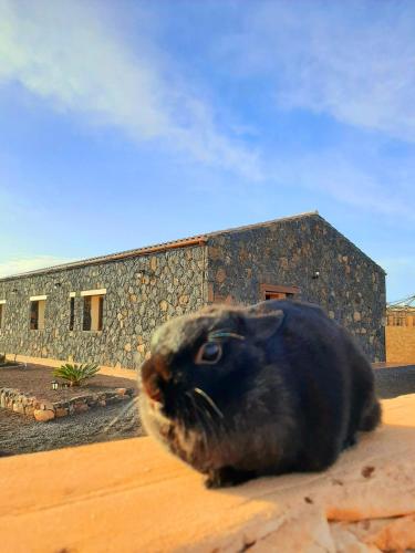 Agriturismo El Bounty - image 5