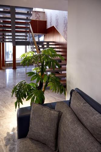 Holiday Hotel - image 14