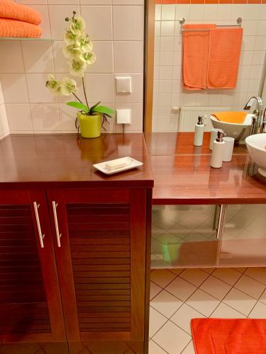 Luxurious city apartment incl garage and terrace, Вена (фото 3)