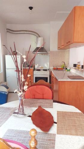  Aliki´s Comfortable Holiday Apartments-Great Location in Nisaki