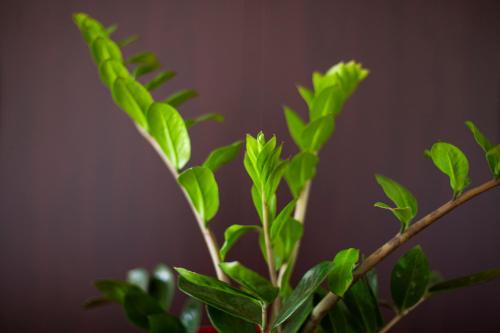 George Hotel Rooms&Suites 