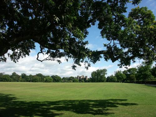 No 9 Rathgar - image 11