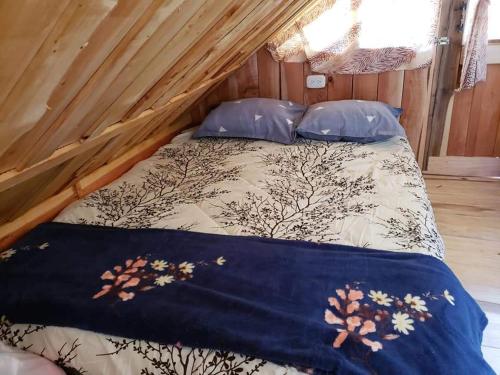 Cabana Dona dacia