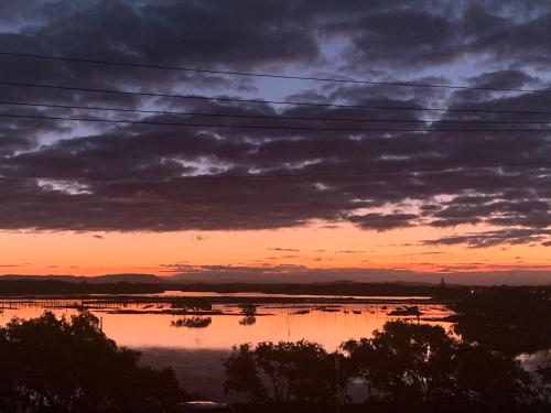 Wallis View 13, Forster (foto 2)